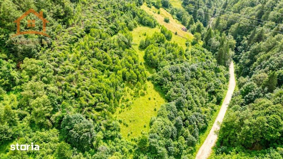 Investitie Smart in Moieciu, 3.1 ha, Panorama 360 Bucegi - Piatra Crai - 6