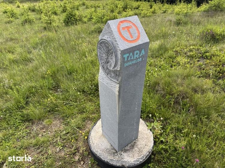 Teren de 18980 mp, în Dorna Candrenilor