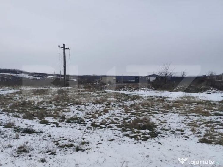 Teren de 2570 mp, în Dumbrava (Ciurea)