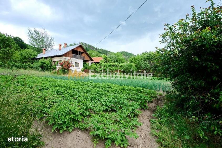 Casă cu 3 camere în Aluniș