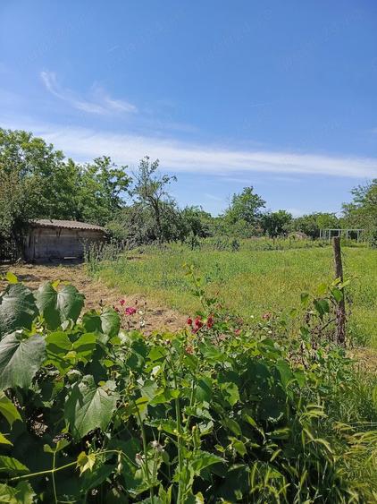 Casă cu Teren 2500 Mp în Rași
