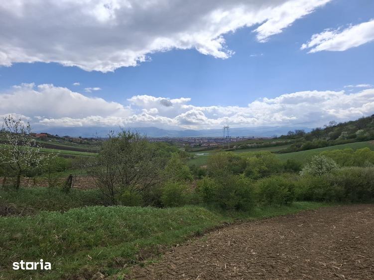 Teren de 5000 mp, în Gușterița