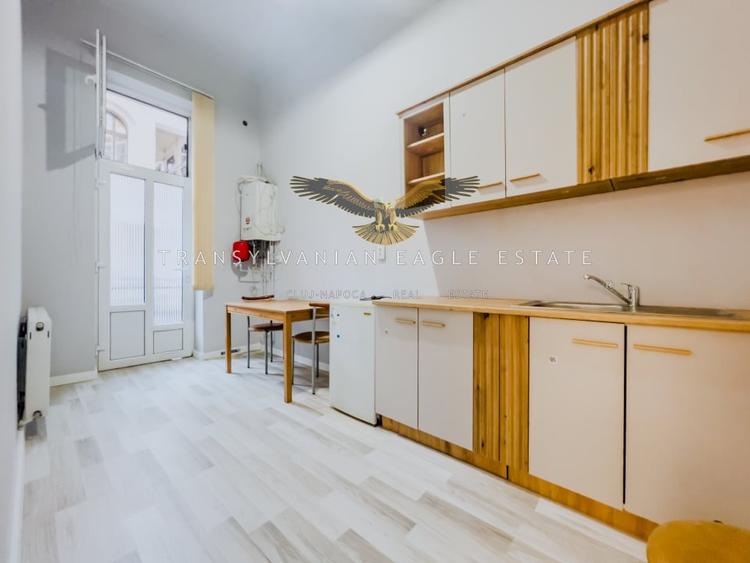Apartament/Spatiu de birou situat pe strada Horea|ultracentrala - 5