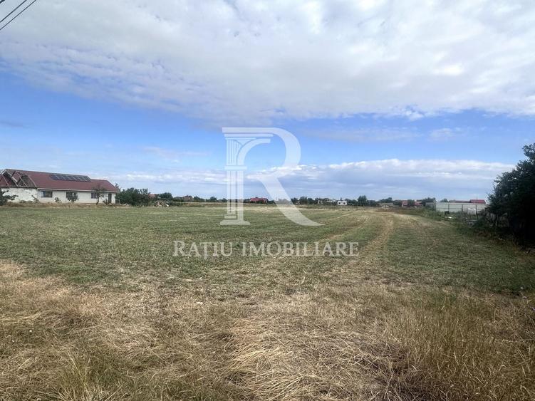 Teren Construcții intravilan de 9482 mp, în Leș