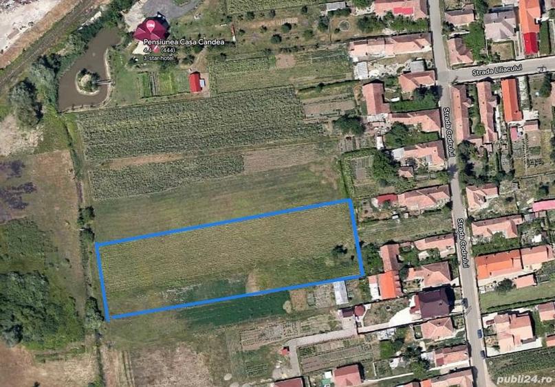 Teren de 4550 mp, în Albești