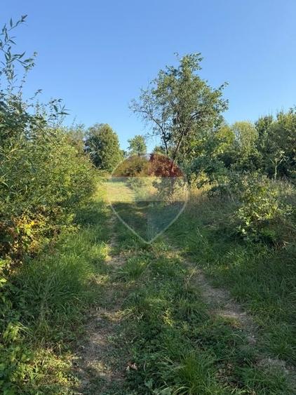 Teren Construcții intravilan de 1350 mp, în Cernești