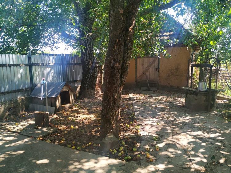 Casă cu 3 camere în Talpoș