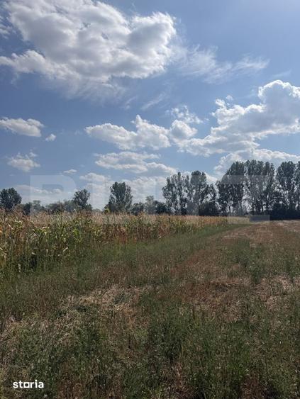 Teren de 9000 mp, în Nușfalău