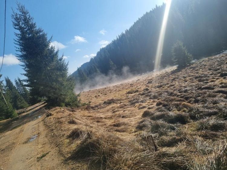 Teren de 43000 mp, în Fildu de Mijloc