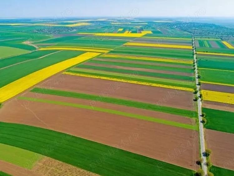 Teren de 25000 mp, în Mihail Kogălniceanu