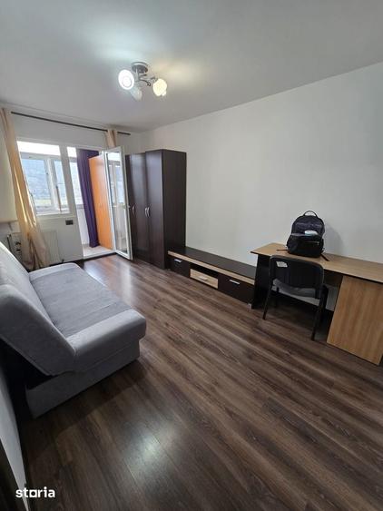 Inchiriere apartament ,Alexandru Cel Bun.Contract Anaf,300 euro - 4