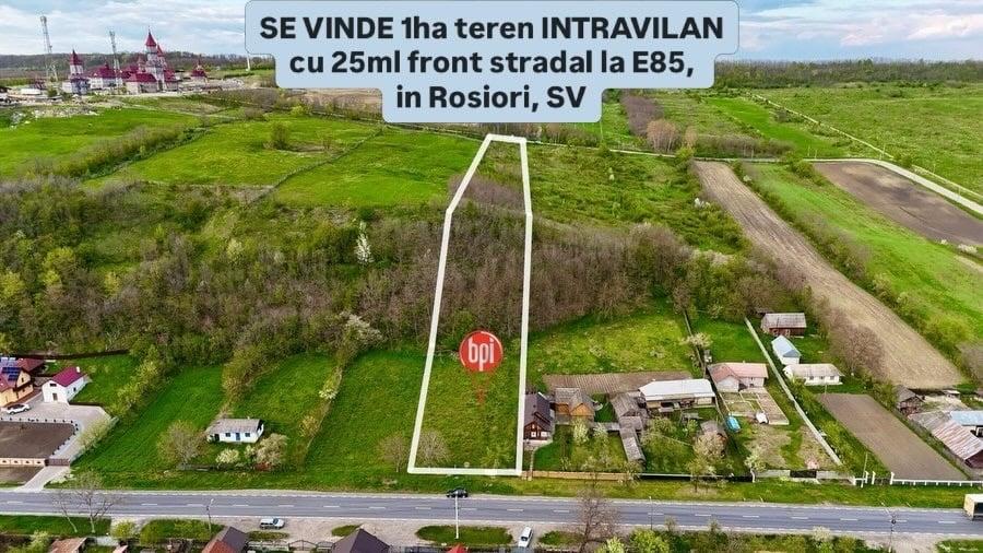 Teren Construcții intravilan de 10000 mp, în Roșiori
