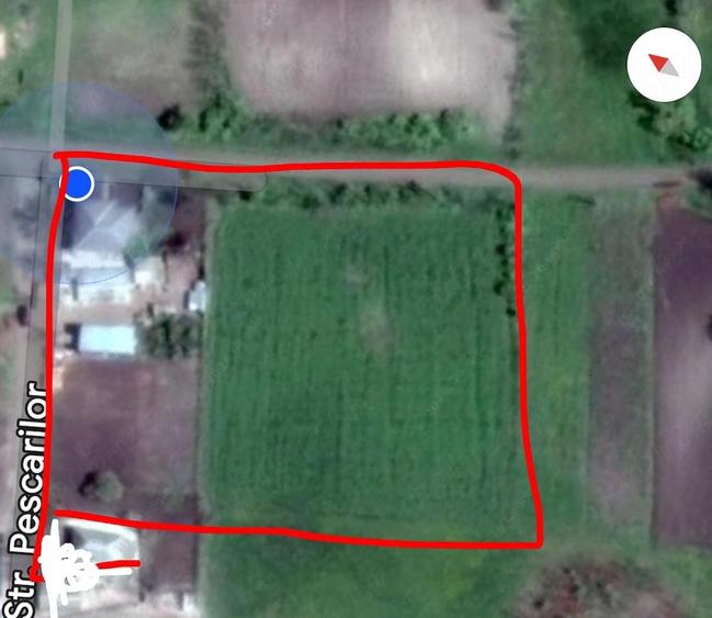 Casă cu 4 camere cu Teren 6000 Mp în Havârna