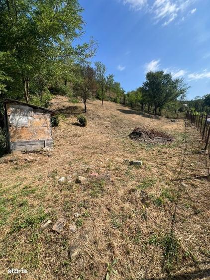 Casa rustica cu teren de 935 mp, front stradal mare Mintiu Gherlii - 8