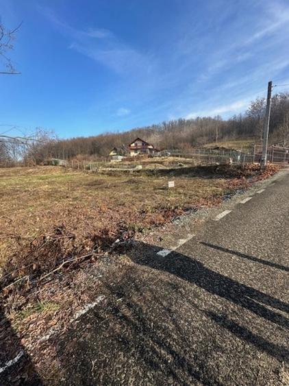 Teren intravilan de 3600 mp, în Tăuții-Măgherăuș