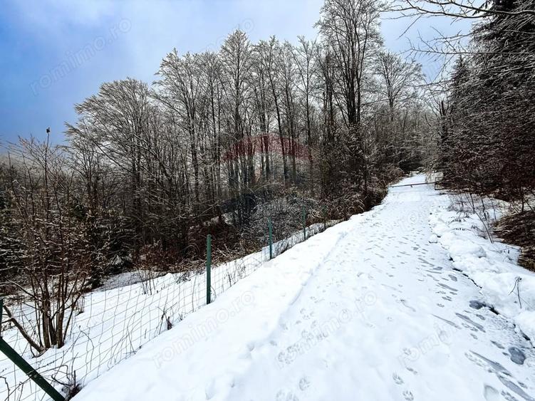 Teren de 1794 mp, în Lunca (Moroeni)