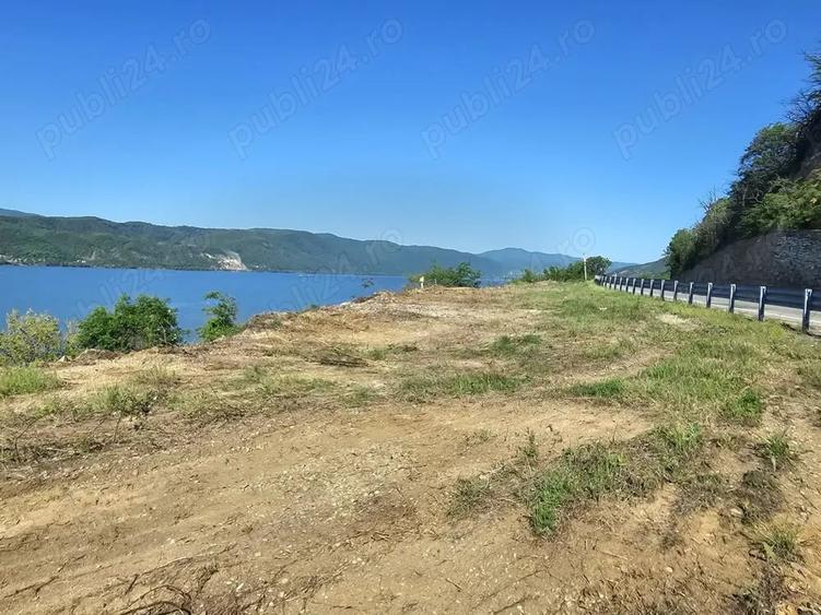 Teren în Svinița