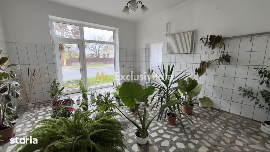 Casă cu 7 camere cu Teren 4620 Mp în Central