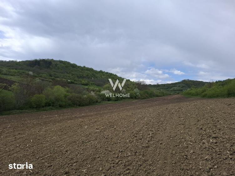 Teren extravilan arabil, utilitati aproape - Sibiu - Gusterland - 8