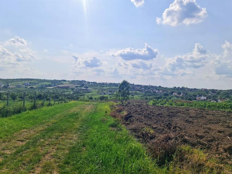 Teren intravilan de 1100 mp, în Dealuri Oradea
