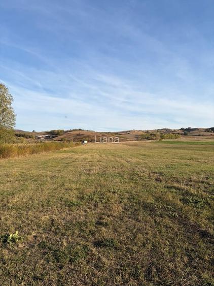Teren de vanzare- 5800 mp - Sanpaul, jud. Cluj, cu front stradal 238 m
