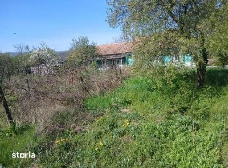 Casă cu 3 camere cu Teren 1566 Mp în Săvinești