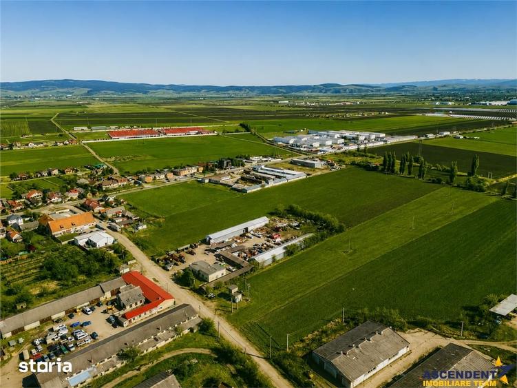 Teren de 10000 mp, în Hălchiu