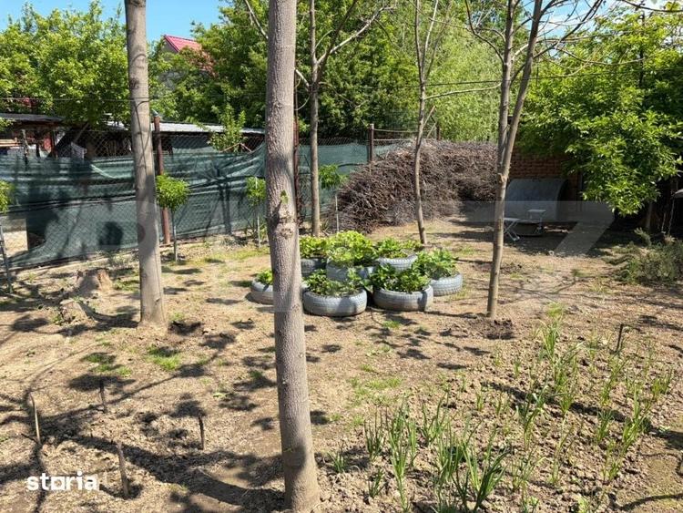 Casă cu 3 camere cu Teren 900 Mp în Lascăr Catargiu