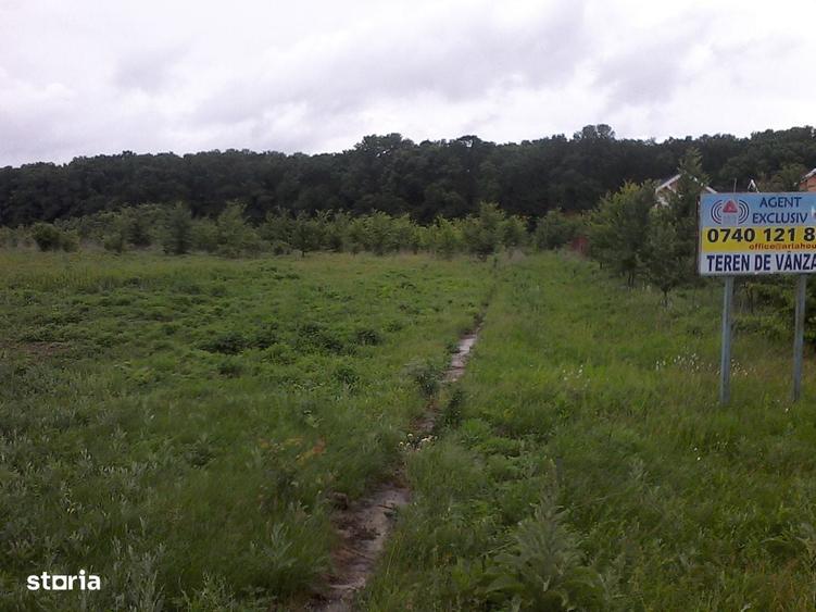 inchiriere 1300mp teren Baneasa Teisani - 6