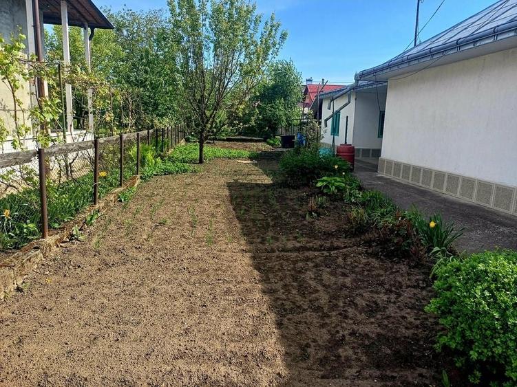 Casă cu 4 camere în Central