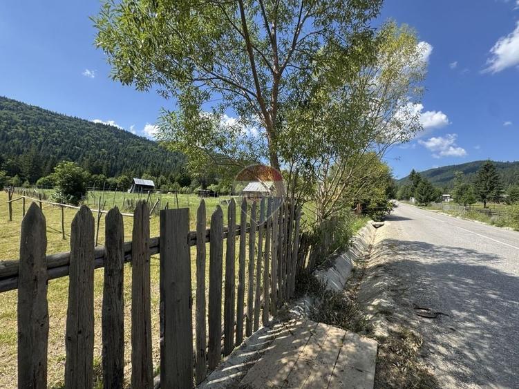 Teren Construcții intravilan de 2802 mp, în Borca