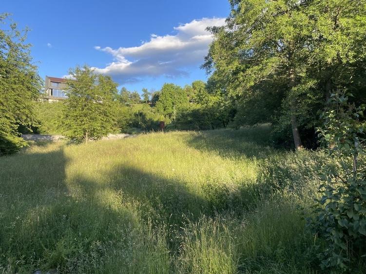 Teren de 2000 mp, în Sohodol