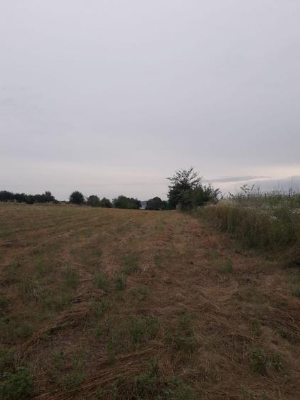 Teren de 3600 mp, în Dancaș