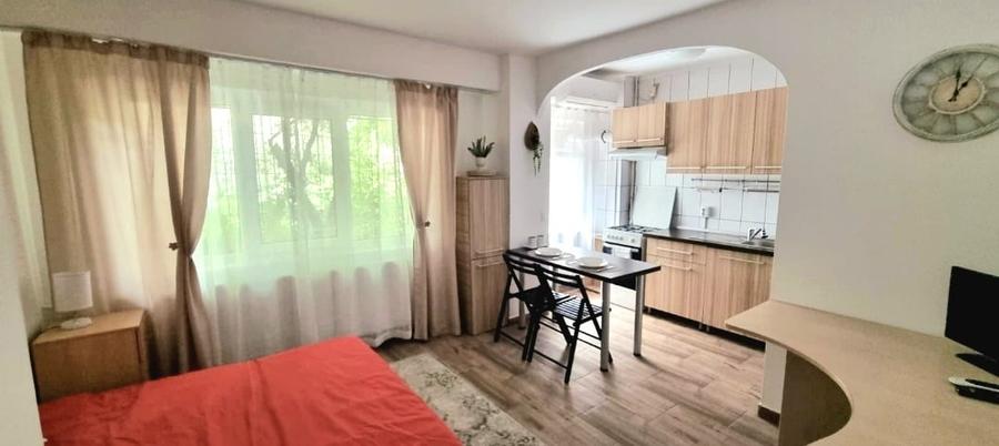 Garsoniera boiler 5 min M Timpuri noi - Tineretului DB2269 - 4