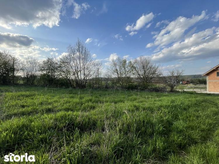 Teren de 5370 mp, în Roșia