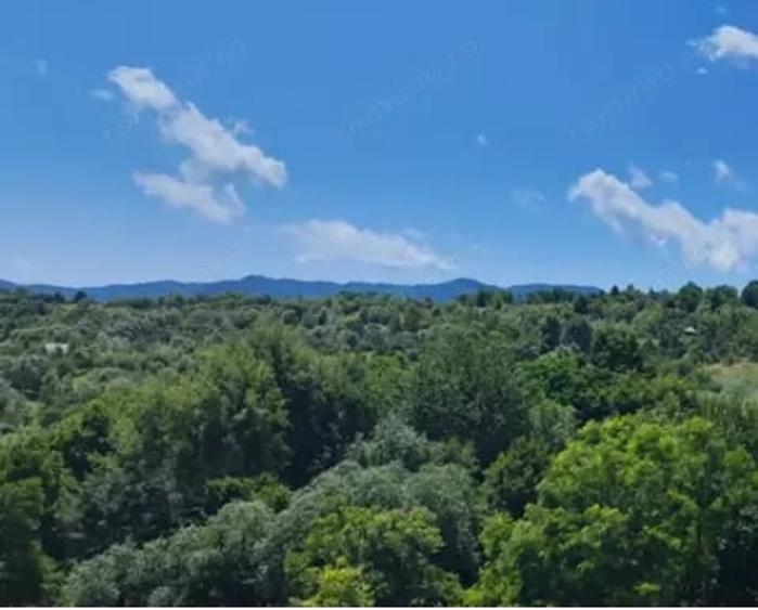 Teren de 17000 mp, în Nucșoara