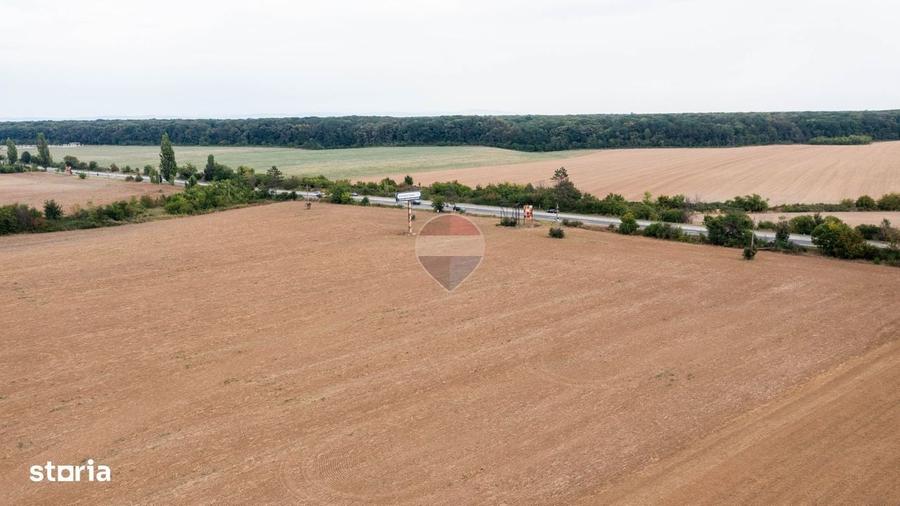 Teren intravilan 10.000mp Ciolpani, acces direct din DN1 - 11