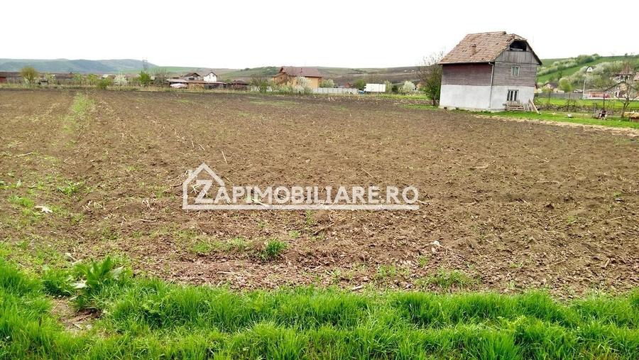 Teren Construcții extravilan de 5800 mp, în Recea