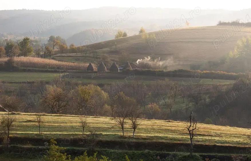 Casă cu 2 camere cu Teren 20000 Mp în Târnova
