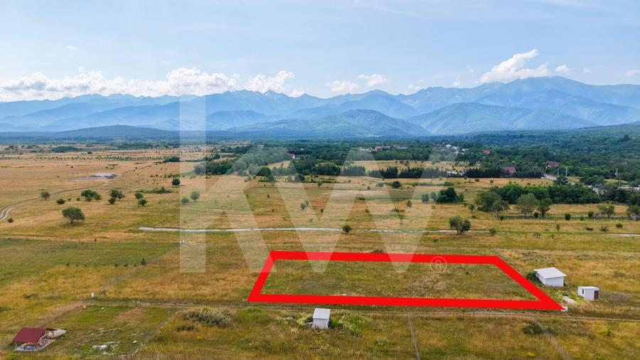 Teren Construcții intravilan de 1474 mp, în Avrig
