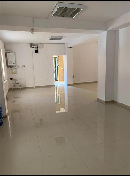 Casă individuală cu 8 camere cu Teren 400 Mp în Scriitorilor