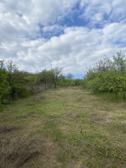 Casă cu 4 camere în Uileacu de Munte
