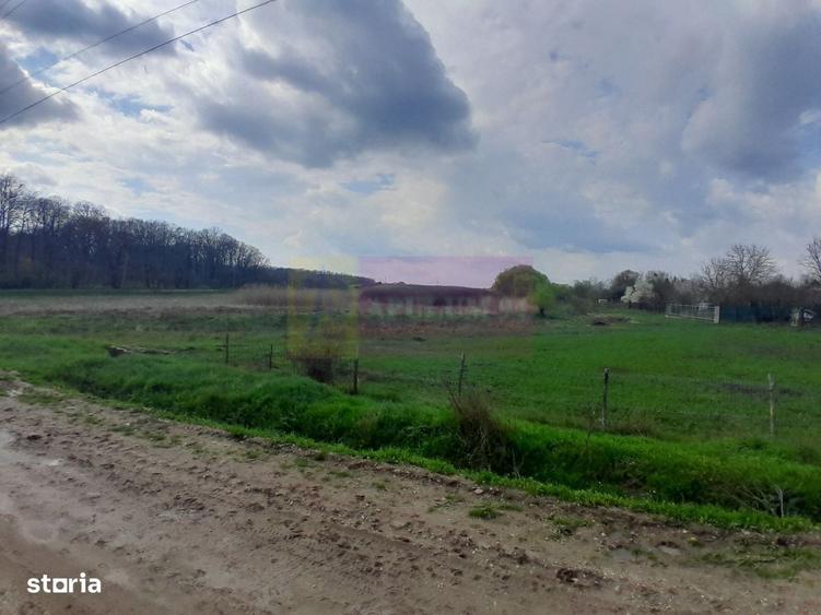 De Vanzare Teren 3400 Mp In Sat Podu Ilfovat / Com Buturugeni (Gr) - 6