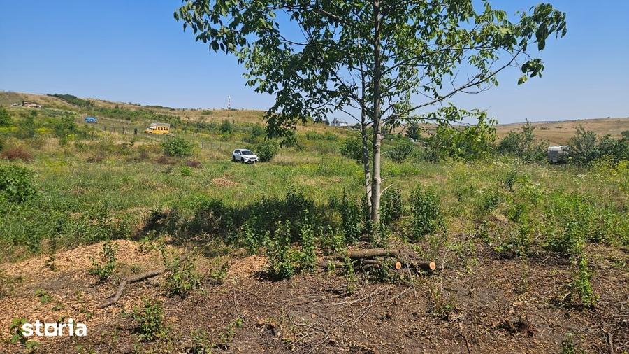 Teren de 1801 mp, în Sopor