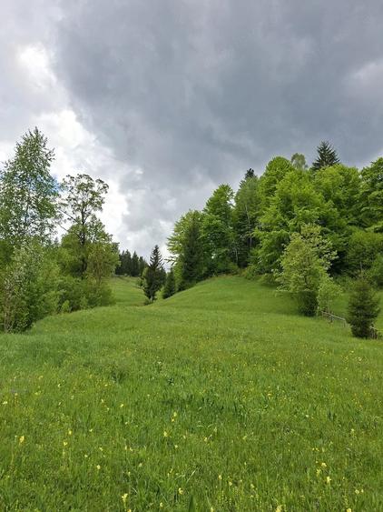 Teren investitii zona rurala - 1