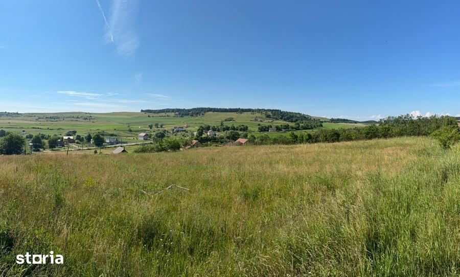 Teren de 3834 mp, în Vultureni