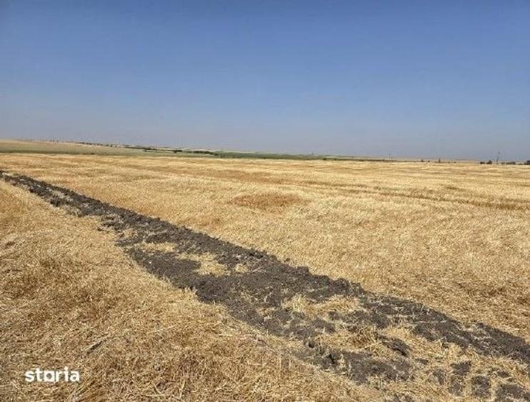 Teren de 16700 mp, în Fântânele