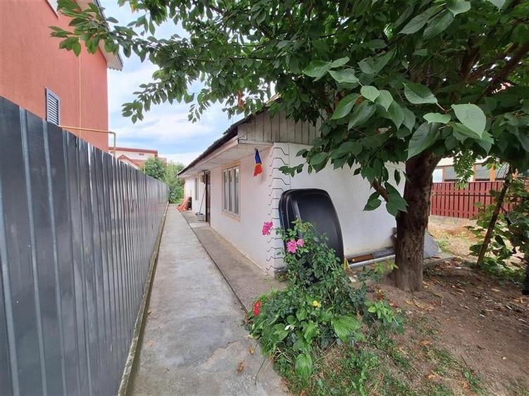 Teren Construcții intravilan de 3650 mp, în Șerbănești