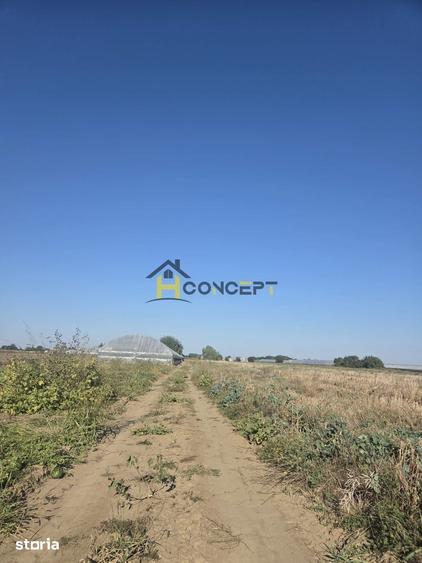 Teren de 10000 mp, în Colibași