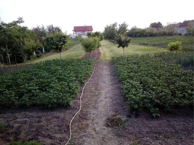 Casă cu 3 camere în Tărian